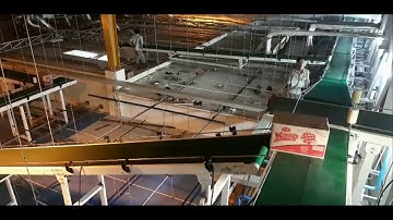 Hệ thống băng tải vận chuyển thùng carton