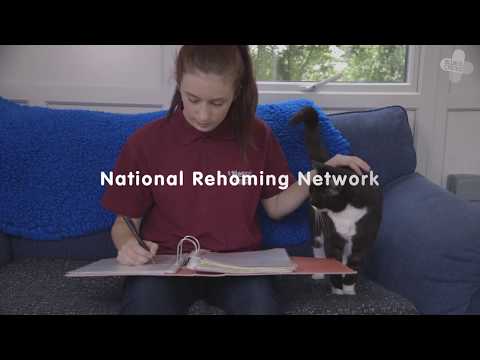 Blue Cross National Rehoming Network Promo