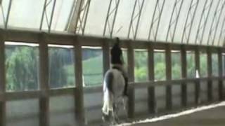 Olarry - First Level 1