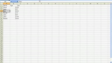 Sobolsoft com How To Use Excel Insert Blank Rows & Columns Between Data Software