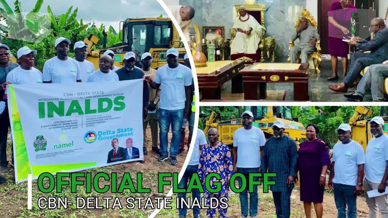 NAMEL | Unveiling and Flag-Off of INALDS  Scheme (September 2022, Mosogar - Delta State)