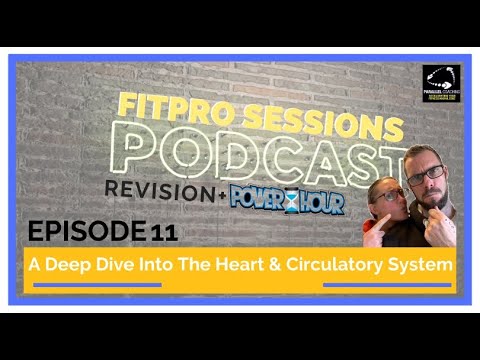 Episode 11 Revision A Deep Dive Into The Heart &amp; Circulatory System