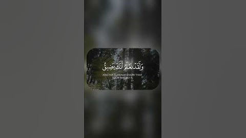 ولقد نعلم أنك يضيق | عبد الباسط عبد الصمد | من سورة الحجر الآية 97 #قرآن