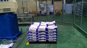 Paper bags palletizer