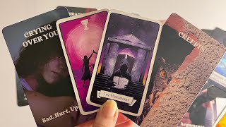 Person in your mind : Current Feeling/emotions for you💞🥰Hindi tarot card reading