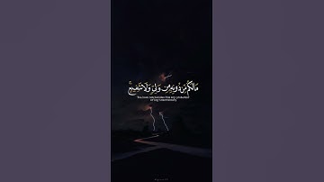 اكتب شي تؤجر عليه ♡✨️ | القارئ عبدالرحمن مسعد | قرآن كريم