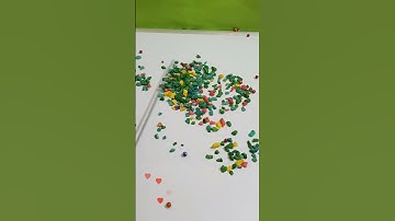 The Magic of Colors and Movement. #FilmingChallenge #Reverse