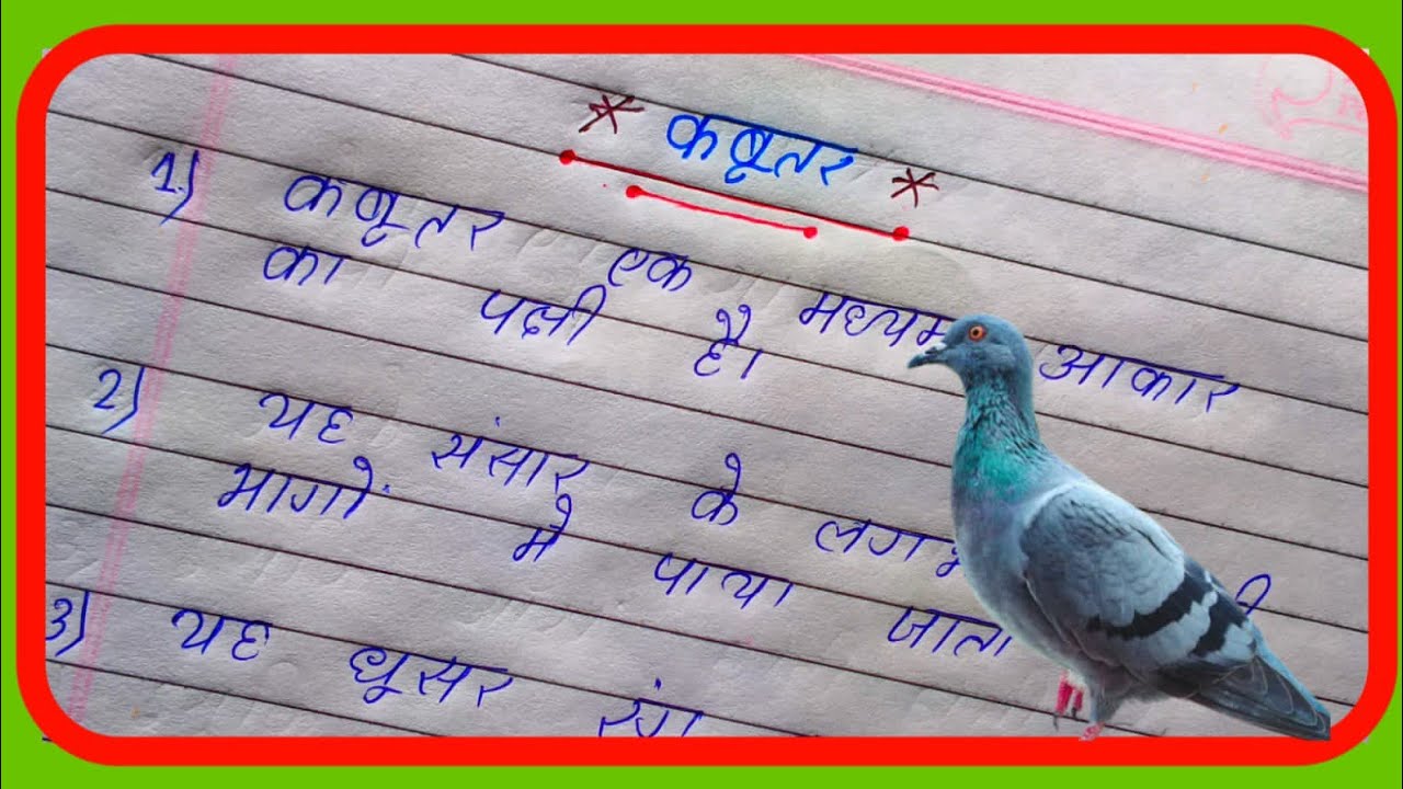 10 lines On Pigeon In Hindi/कबूतर पर 10 लाइन निबंध/essay on pigeon in