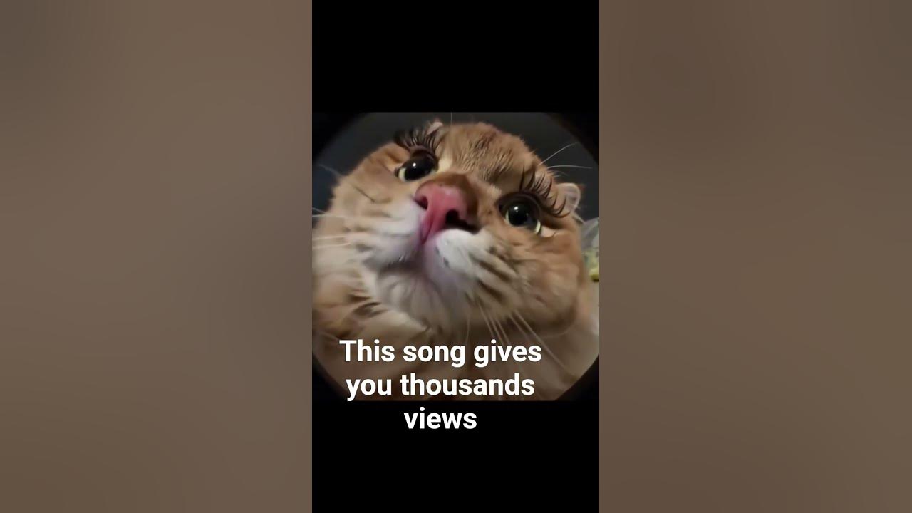 try this song👉🏻💫 #growagarden #songs #cat #musicalbums #music #funny #colonelkkjϟ #musicsongs
