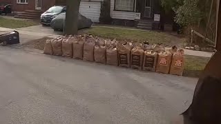 POV Heavy Yard Waste early spring