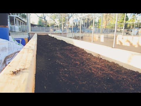 The BEST Soil Combination for RAISED GARDEN BEDS!