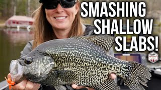 NEW BAIT Smashes Giant Crappies!! (Shallow Water Tips)