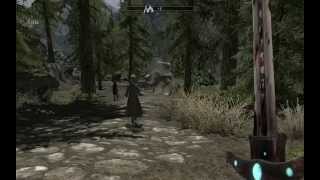 Skyrim: The Thalmor Horde and the Glitchy dragon