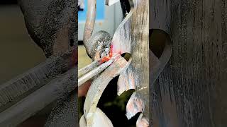 heating techniques for chainsaw blade repair #shorts