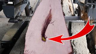Shocking Discovery Inside 100 Year Old Strange Tree? Doctor Repair Restore Machine