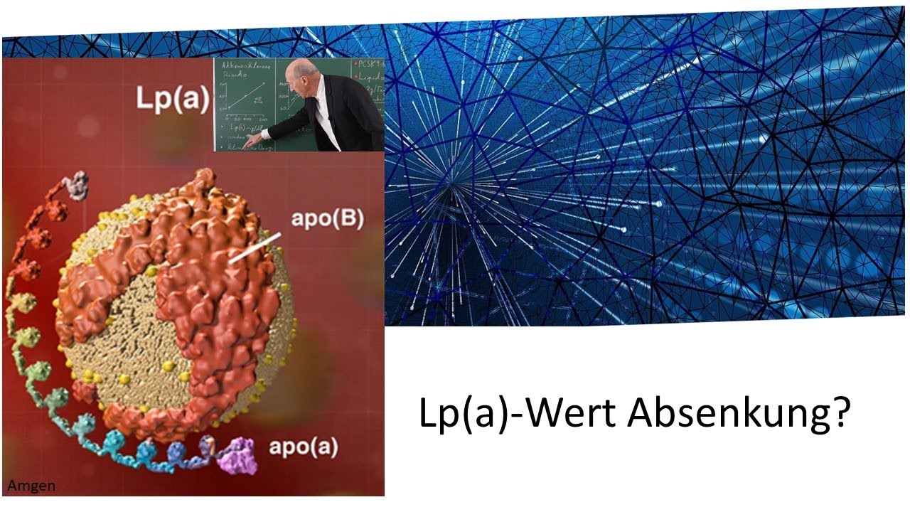Lipoprotein(a) - Lässt sich der Wert reduzieren?