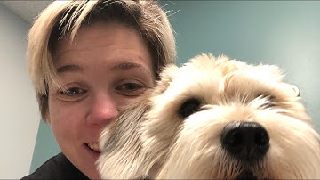 Golang for #codenewbie/ development AMA