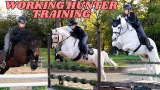 WORKING HUNTER TRAINING WITH POPCORN, ROLO AND PANDA