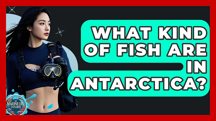 What Kind Of Fish Are In Antarctica? - The Marine Life Explorer