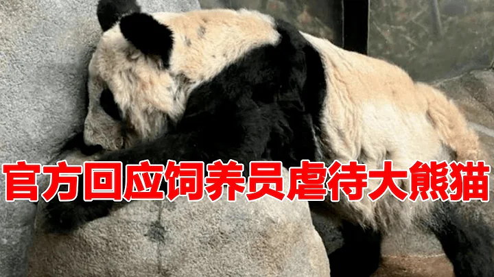 官方回應來了！飼養員張鑫虐待大熊貓事件真假！關於網友關心的三大問題都有解釋！ - 天天要聞