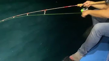 Câu Mực biển Côn Đảo - Dễ câu lắm bạn nào đi mình dẫn đi nha !!