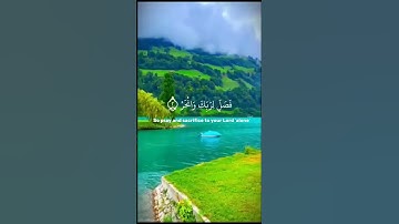 #سورة_الكوثر الشيخ_عين_الكوشي #ايات_قرانيه_قصيره #تجويد_القرآن_رائع #قران_كريم