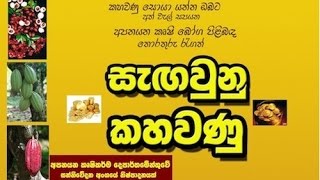 Department of Export Agriculture - ලක් පැරකුම්  කෝපි පවුලට එක්වන නවතම සාමාජිකයා