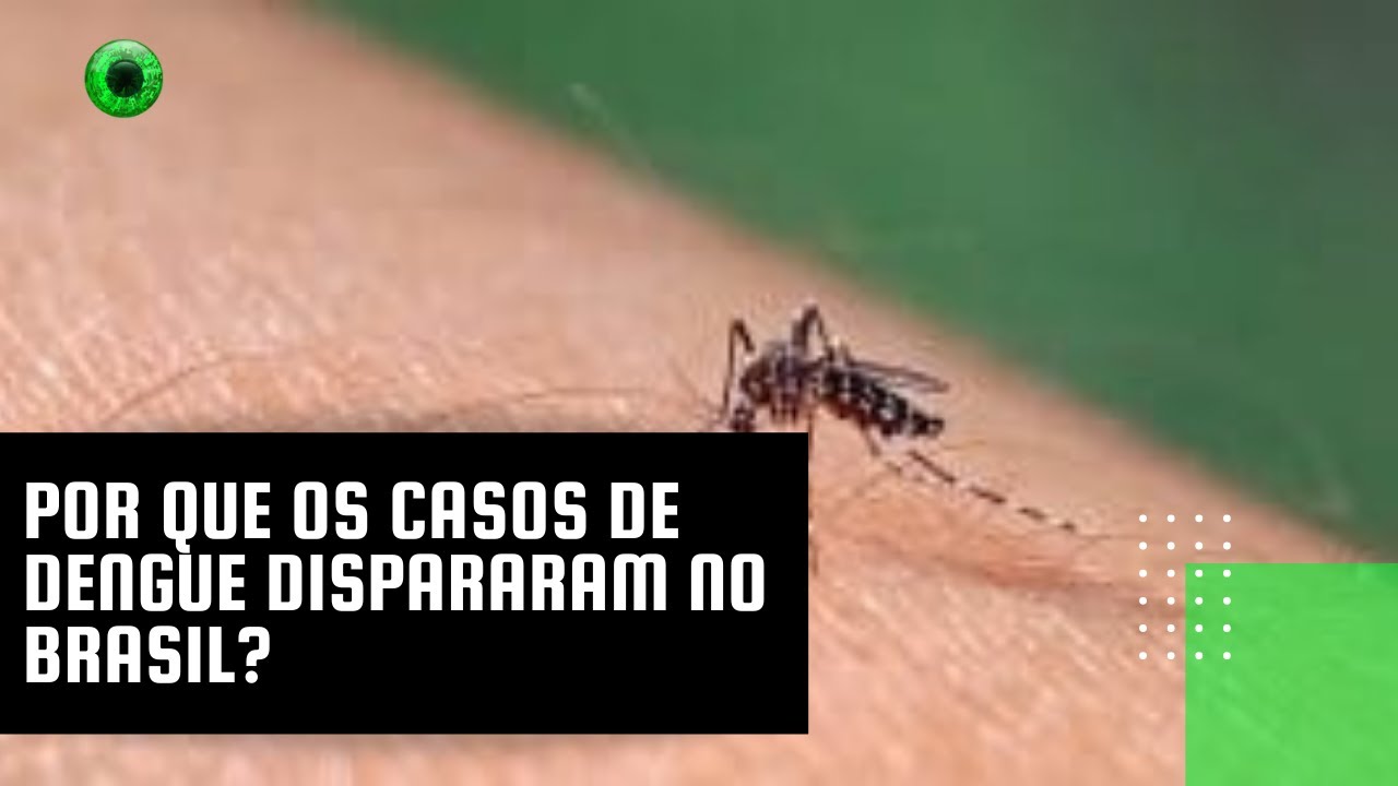 Por que os casos de dengue dispararam no Brasil?