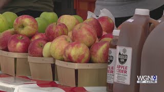 Apple Fest 2024 in Lincoln Square