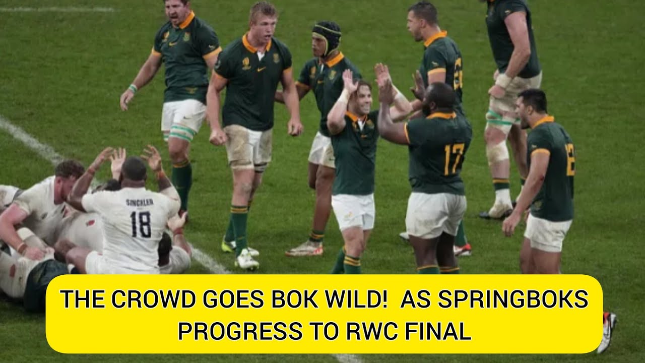 THE CROWD GOES BOK WILD! ELATED FANS CELEBRATE AS SPRINGBOKS PROGRESS ...