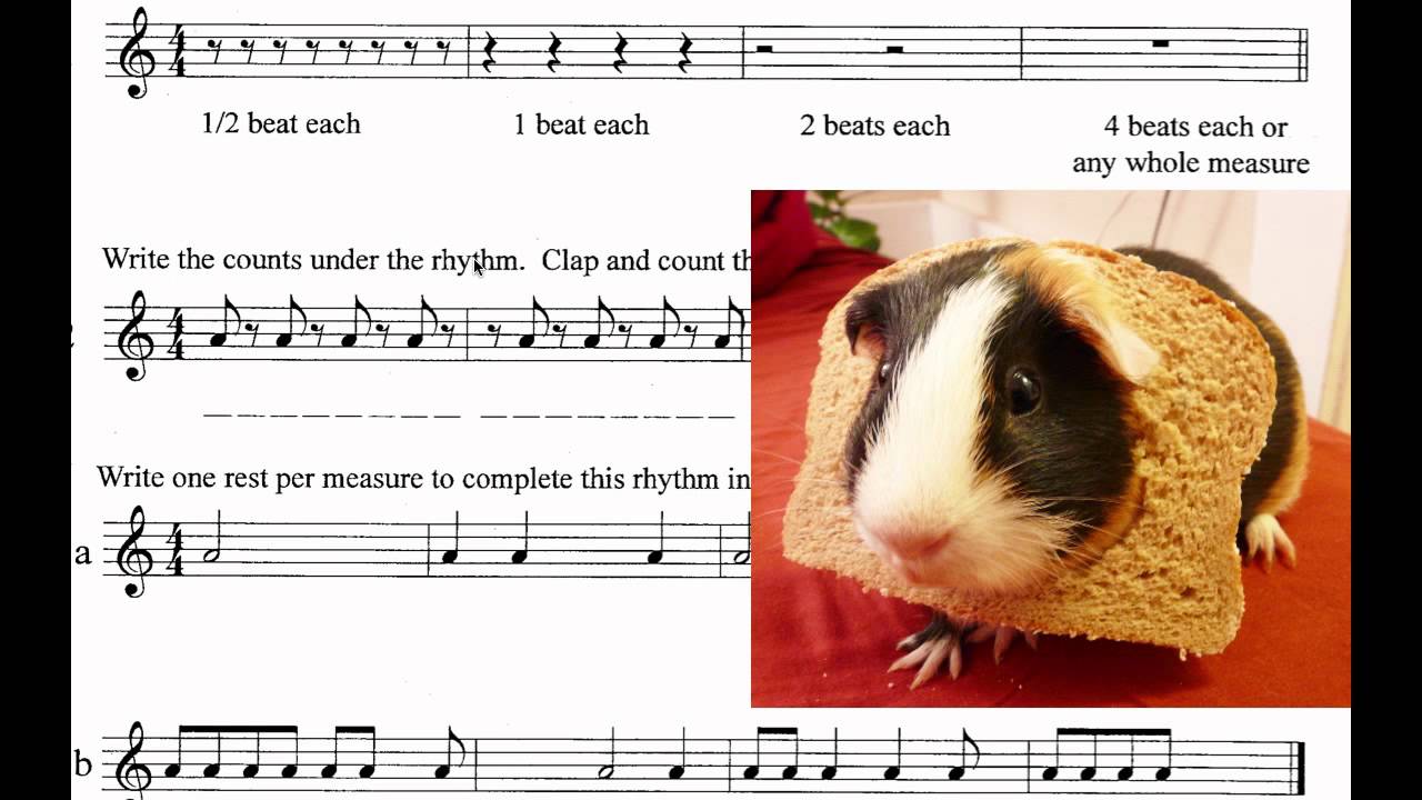 Level 1 Quiz 6 Flipped Classroom Video