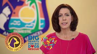 Inside Lee County: Animal Services Community Partnerships