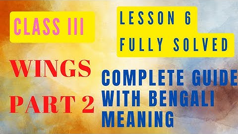 WINGS CLASS 3 PART 2 ll LESSON 6 ll FULL LESSON SOLVED ll WBBPE ll All activities in one video