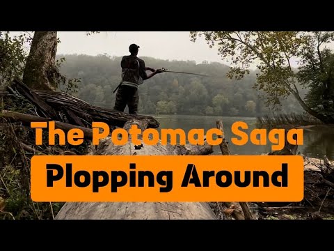 Plopping Around | The Potomac Saga