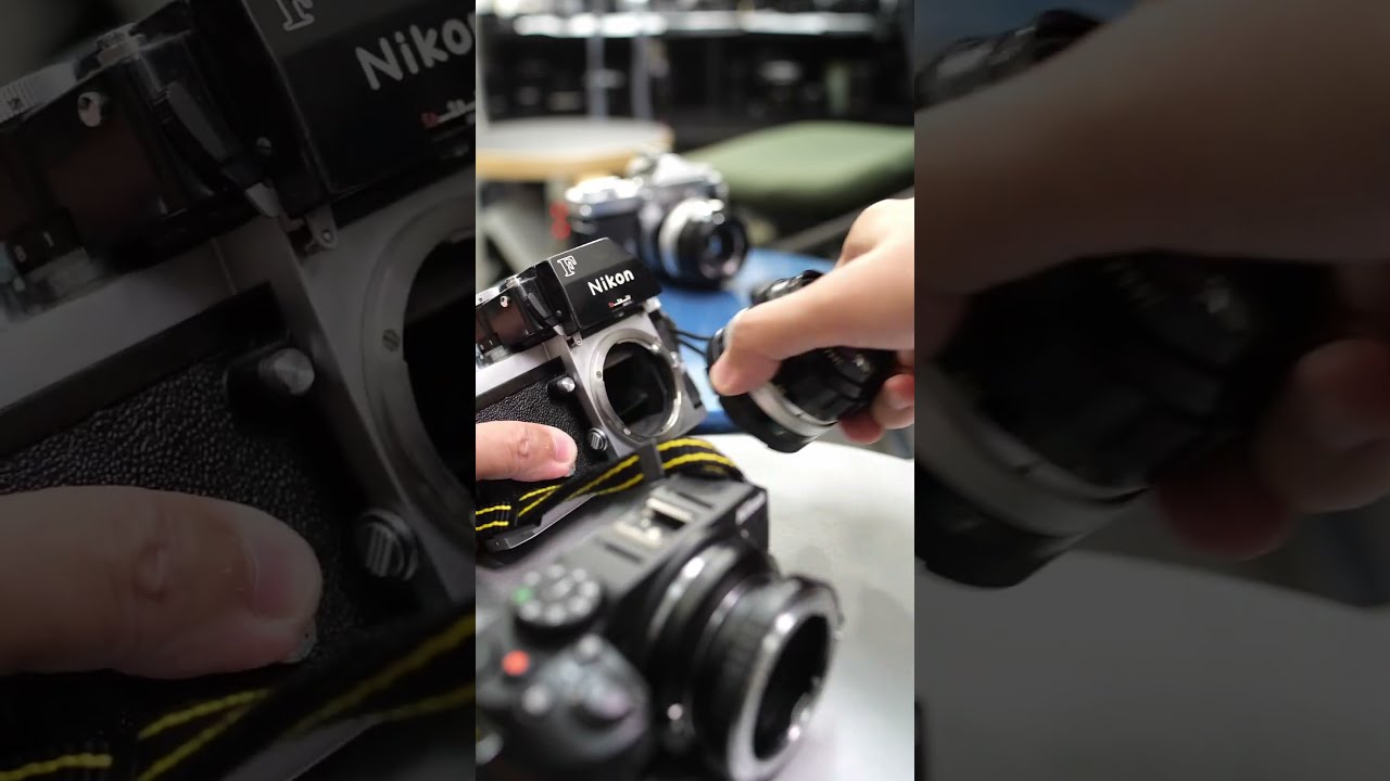 Nikon Z30 に AUTO Nikkor 35mmf2を付けて撮影してみた オールド