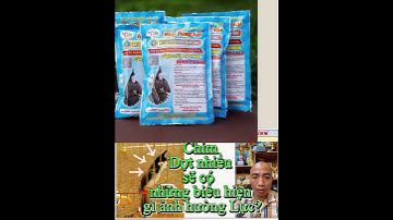 Cách khắc phục Chim cắn đuôi thế nào