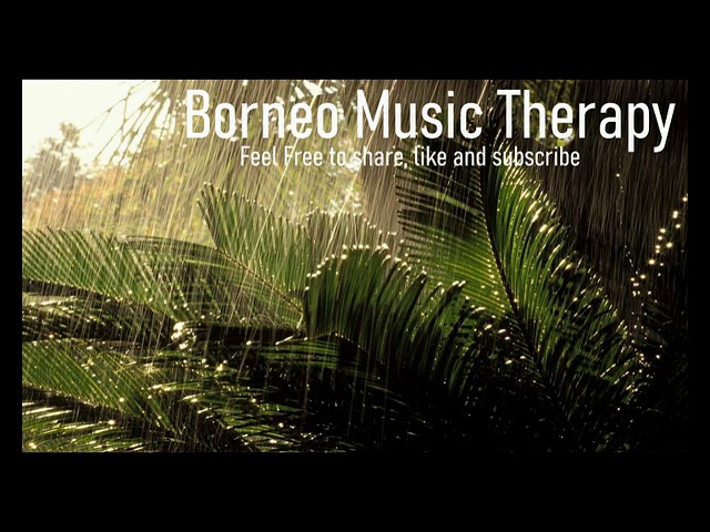 Relaxing Rain &Thunder Sounds, Fall Asleep Faster, Beat Insomnia, Sleep Music, Borneo Nature Sound class=