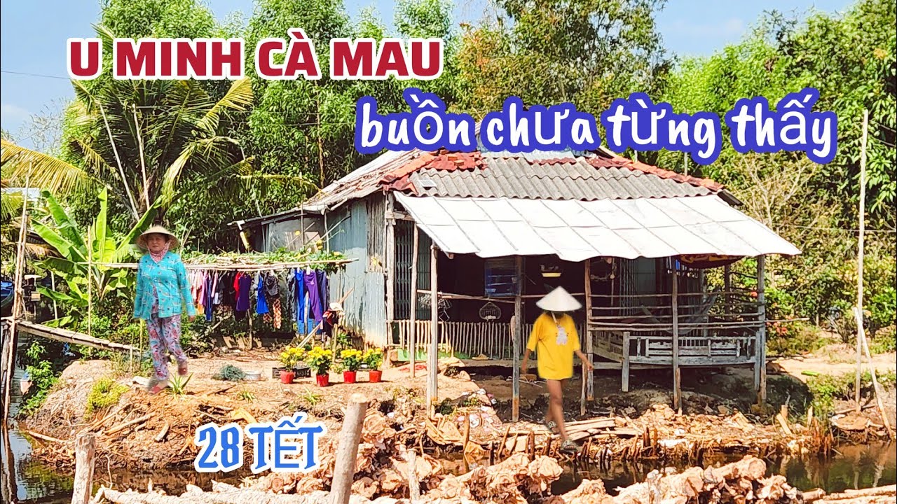 Quá Bất Ngờ 28 Tết Vùng Quê U Minh Buồn Chưa Từng Thấy, Đường Làng Thiếu Bóng Người Vắng Vẻ Quá 2026