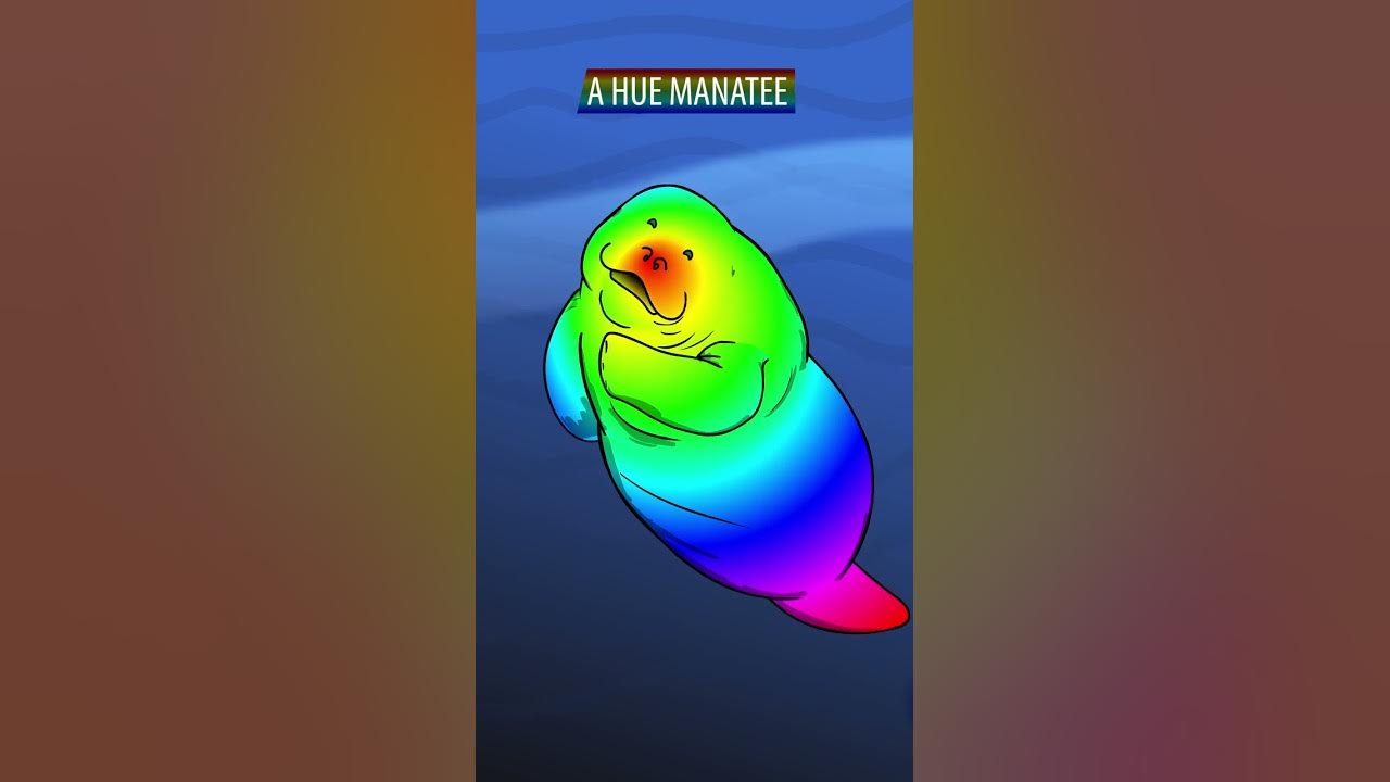 Hue Manatee clears up some confusion. He is not a Seal! #shorts #animation  - YouTube