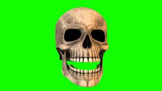 FREE HD Green Screen - TALKING SKULL (Moving Jaw)