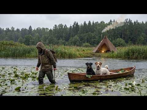 A fishing camp on a wild river, a tent with a wood burning stove, and dogs