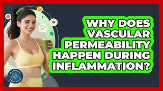 Why Does Vascular Permeability Happen During Inflammation - All About the Immune System