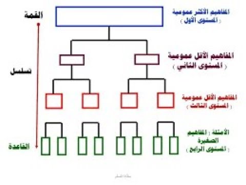 خريطة مفاهيم فارغة 3