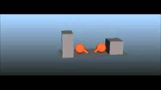 FLying fox Animation 02