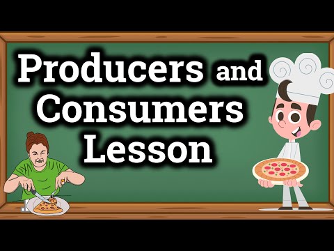 Producers and Consumers for Kids | Classroom Video
