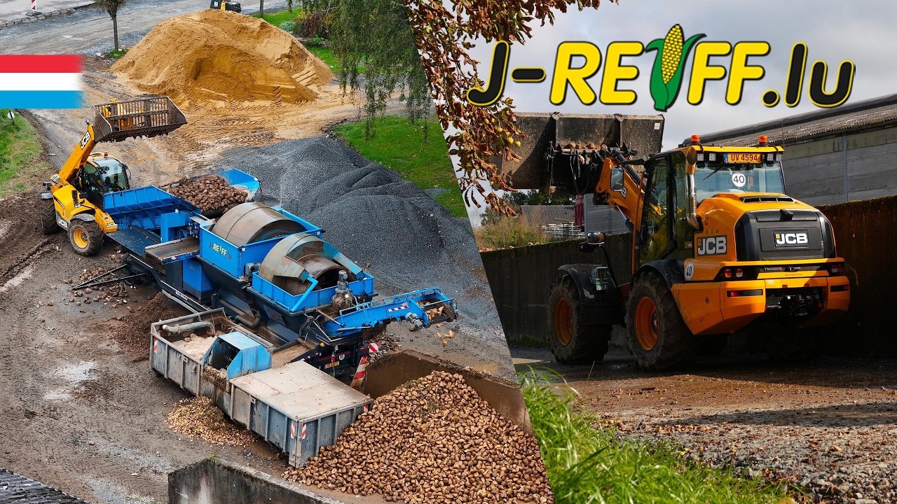Rüben waschen | J-Reiff | Putsch BeetMaster XL // JCB TM320S // JCB AgriXtra 542-70 | Luxemburg 2025