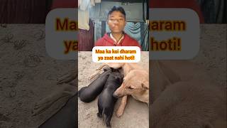 Maa ka koi dharam nahi hota, sirf mamta hoti hai ❤️" #AnimalLove #MaaKiMamta #ViralShorts #DogLover