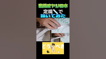 寝起きヤシの木 Yukopi 定規 とミンティアで弾いてみたwww 