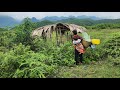 A single mother, after returning to her old home, begins a new life from scratch | Lý Tiểu Sao