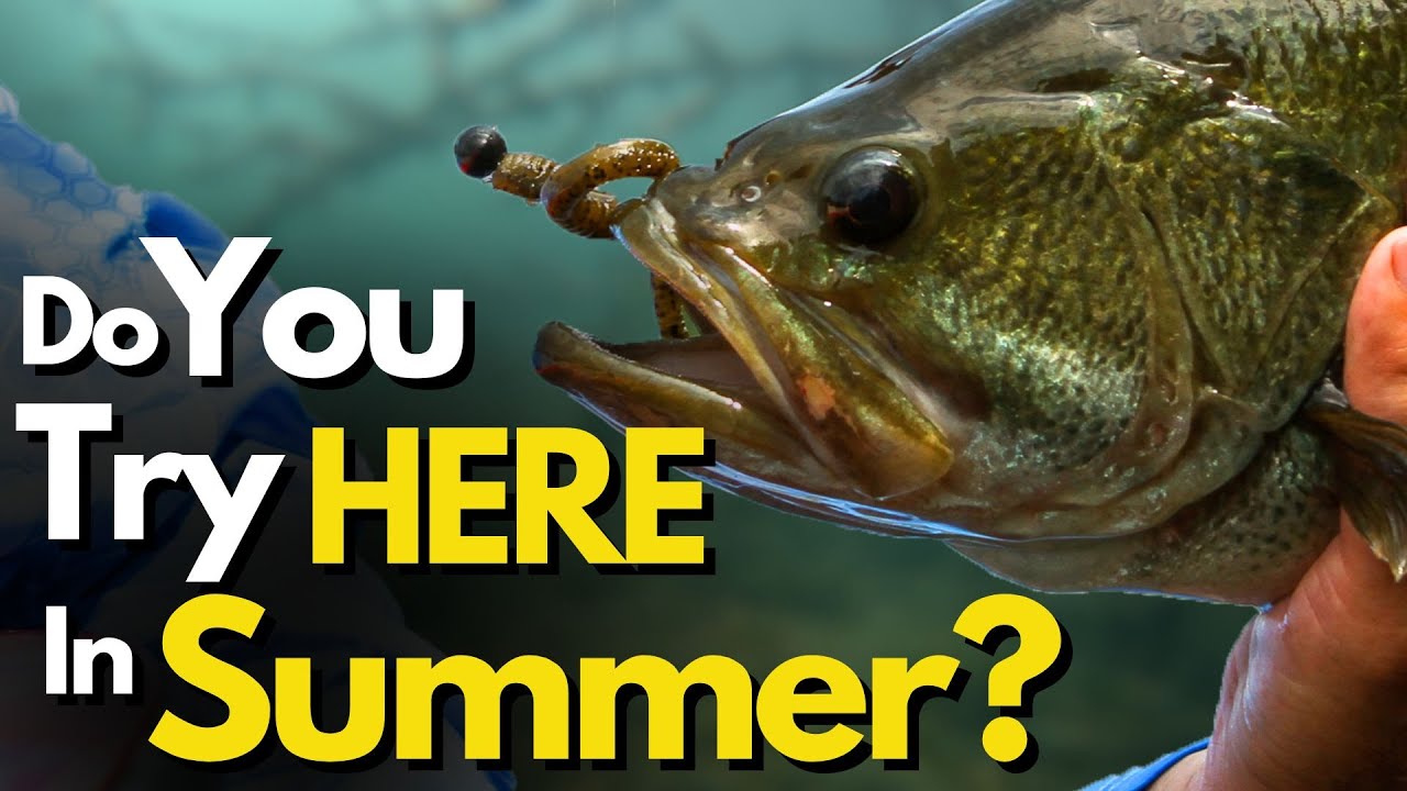 Top 4 Summer Spots to FIND Bass – I Always Look for These First